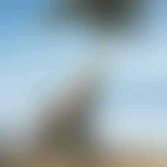 Foto Gabungan Berikut ini Akan membuatmu Gagal Paham, dan Berpikir "Oh iya ya"