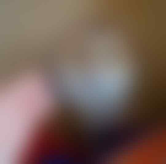 Saking Lucunya, 7 Selebgram Kucing Ini Bisa Bikin Hati Kita Meleleh
