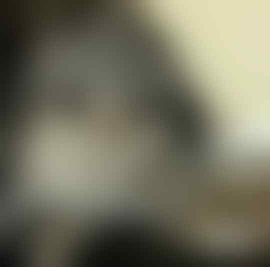 Saking Lucunya, 7 Selebgram Kucing Ini Bisa Bikin Hati Kita Meleleh