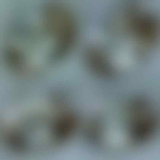 Lelang Iseng Batu Antik Singkat Sd 15 04 18 (21:22)