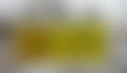 Pria Klaten Ini Sukses Ciptakan Mesin Pengolah Sampah Jadi BBM!