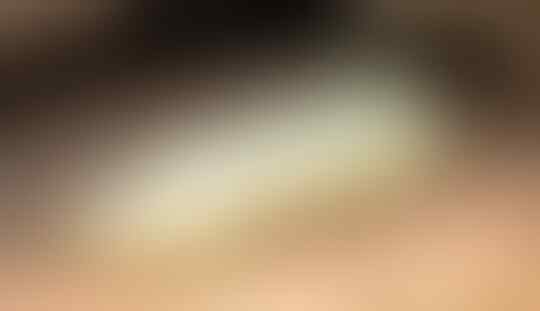 7 Hewan Penganut Monogami, No 6 Layak Dicontoh Oleh Manusia