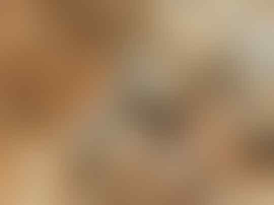 Beneran Langka! Inilah 5 Hewan Unik yang Jarang Diketahui oleh Manusia