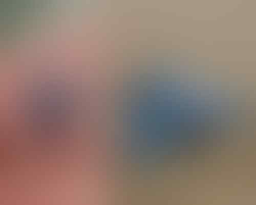Beneran Langka! Inilah 5 Hewan Unik yang Jarang Diketahui oleh Manusia