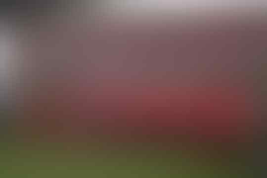 #Rusia2018: Profil Peserta Grup E