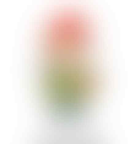Main Harvest Moon ? Ada hal menarik nih tentang Gnome !