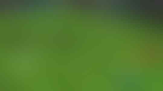 Bete Nungguin World Cup 2018 ? Ini 5 Game Sepakbola Android 2018 Wajib Coba