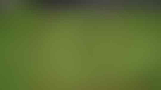 Bete Nungguin World Cup 2018 ? Ini 5 Game Sepakbola Android 2018 Wajib Coba