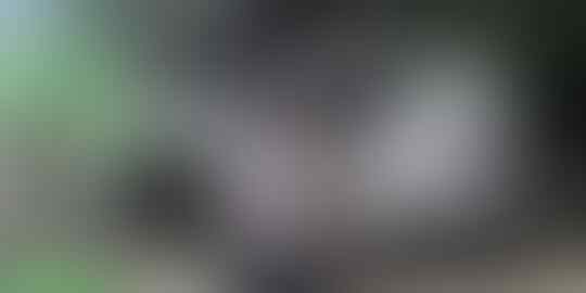 Kupas Tuntas Misteri Tentang Alas Roban Yang Bikin Merinding