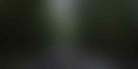 Kupas Tuntas Misteri Tentang Alas Roban Yang Bikin Merinding