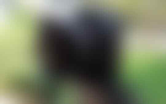 Tips dan Trik Memotret Menggunakan DSLR di Malam Hari #AslinyaLo