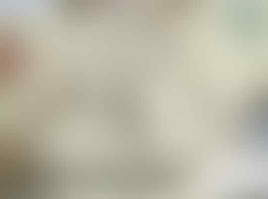 MidRate Private Server - Scarlet Ragnarok Online | 99 70 PreRenewal