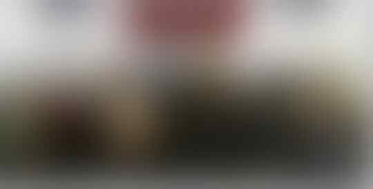 Punya Makna, Sumpah Pemuda Bukan Sekedar Ikrar Semata
