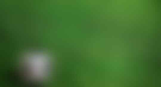 7 Pemain Sepak Bola Terbaik Dunia Saat Ini Versi TS, Kalo Versi Kalian ?