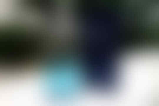 Tempat Khusus Listing Swap Parfum