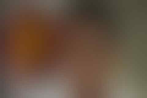 Sandi Akan Membangun Tanpa Utang, Guntur: Utang Sandi 8,4T, Mau Bangun Tanpa Utang?