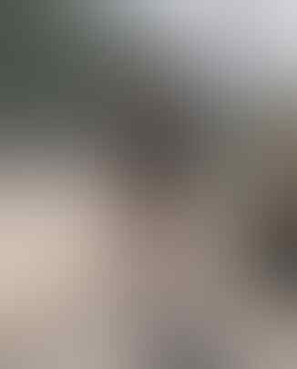 Awas Tegangan Tinggi! Ini 6 Foto Caca Duo Molek yang Terciduk Kasus Narkoba