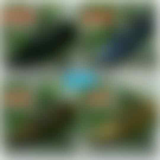 Peluang Dropshipper Gratis Tanpa Modal gan.