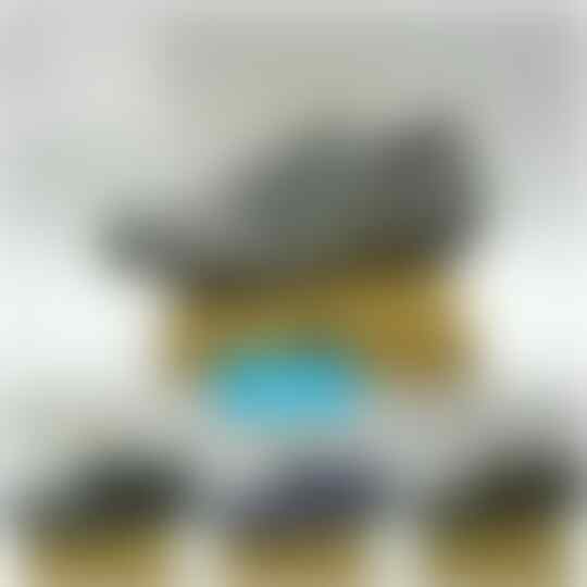 Peluang Dropshipper Gratis Tanpa Modal gan.
