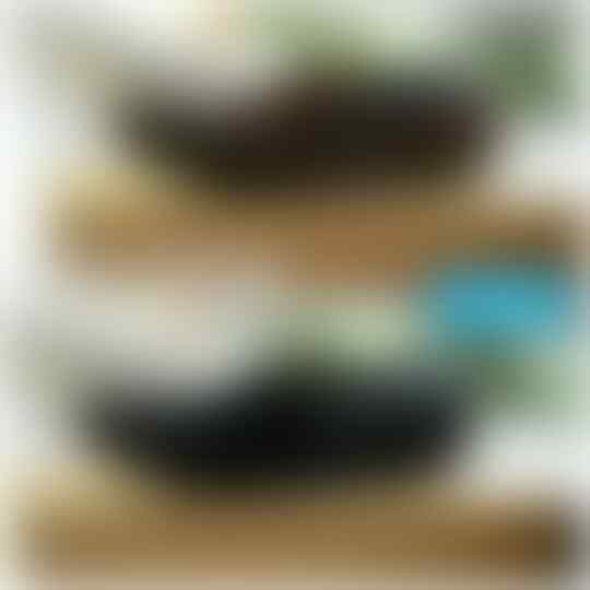 Peluang Dropshipper Gratis Tanpa Modal gan.