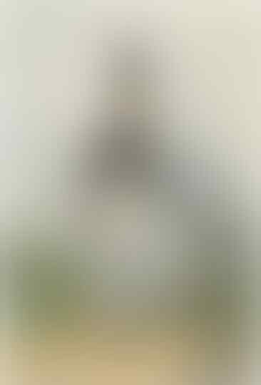 JayengSekar , Kesatuan Polisi Pribumi Berkuda bentukan Daendels