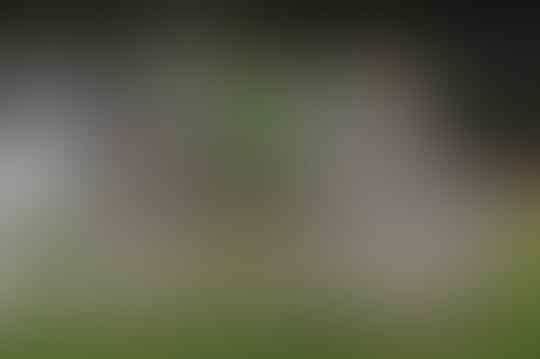 Pesepak Bola Ini Pernah Satu Tim dengan Pemain yang Lahir di Enam Dekade Berbeda