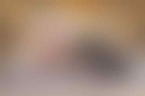 Bayi Bermain dengan Hewan? Berisiko atau Bermanfaat Gan?