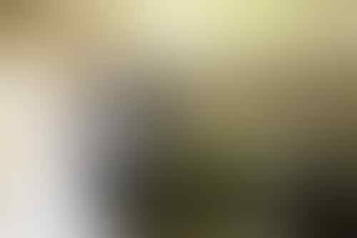 Bosan Dengar Pertanyaan “KAPAN NIKAH?” Ternyata Ini Alasan Di Baliknya!