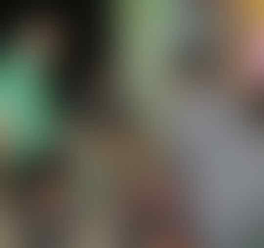 Inilah Jadinya Jika Artis Terkenal Didunia Tinggal Di Indonesia