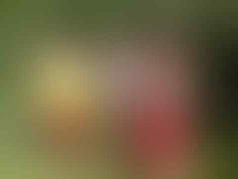 Sensasi Mancing Belut, CADAS!!