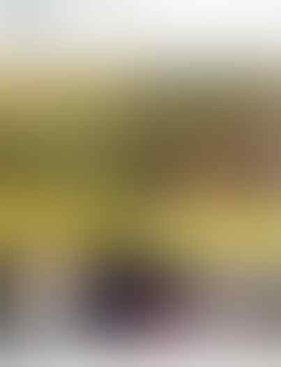 Duh! MISTERI Foto Penampakan Poni "LISA BLACKPINK" Bikin Netizen Penasaran!