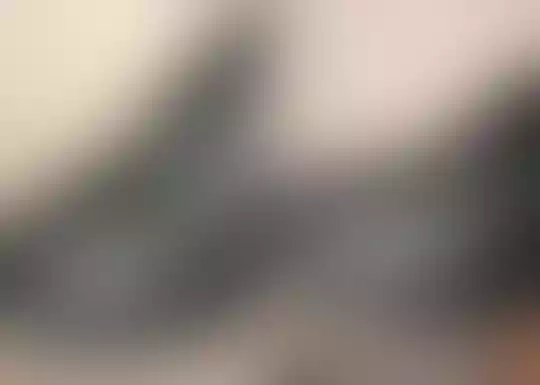 Cara Gampang Hilangkan Kerutan Pada Sepatu, Cobain deh Gan!