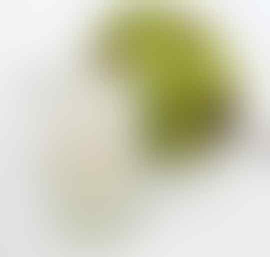 11 Jurus Rahasia Penyegar Harimu