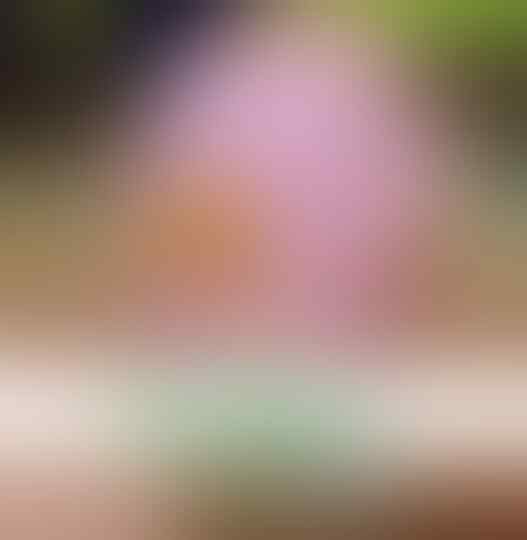11 Jurus Rahasia Penyegar Harimu
