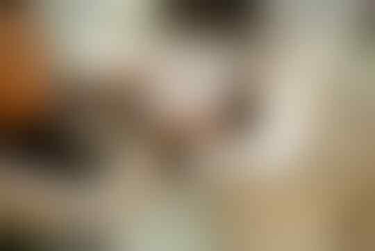 Alasan Rasional Kenapa Kebanyakan Orang Indonesia Kurang Suka BAB di Closet Duduk