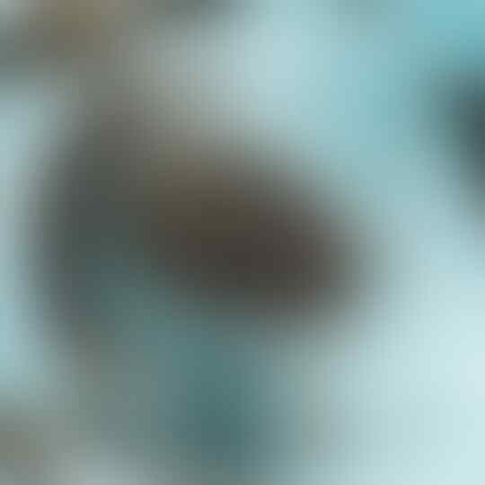 Trik Jitu Memotret Ala Fotographer Profesional