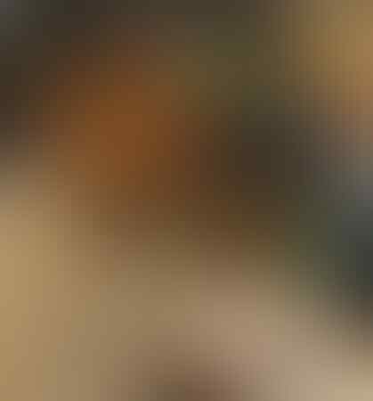 Jadi Tersangka Hoaks, Ustadz Rahmat Baequni Berkilah Hanya Mengutip dari Medsos