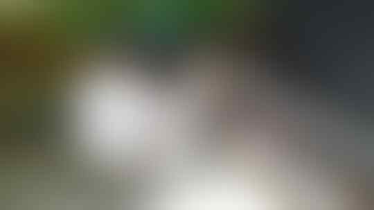 Kecewa, Siswa SD Berprestasi di Pekalongan Bakar Piagam