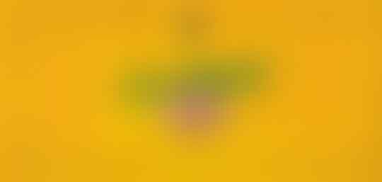 PARMA CALCIO 1913 #SERIE A 2019-2020 #BOYS PARMAGIANI KASKUS #UNASTORIAINFINITA