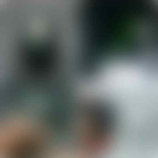 LELANG #366= 33pcs CLOSE MINGGU 01/09 @22:12