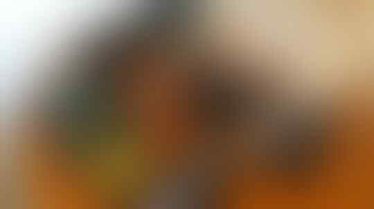 Benda Koleksi Ini Bisa Jadi Punya Harga Tinggi, Setuju Nggak?