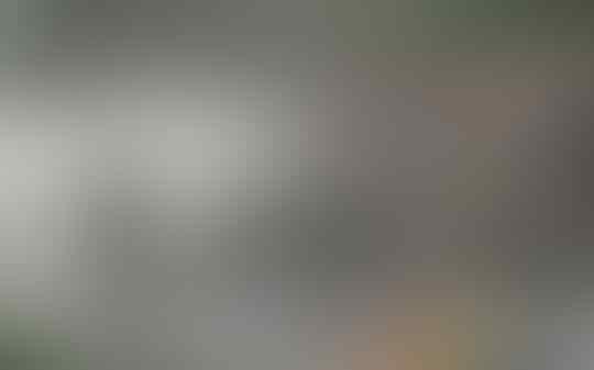 Demo Rusuh di Depan KPK: Karangan Bunga Dibakar, Diwarnai Baku Hantam