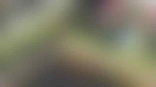 Terlihat "PENAMPAKAN" Di Google Earth, Jasad Pria Hilang 20 Tahun Ditemukan