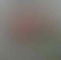 Ngeri! Langit Merah Gelap Gegara Kabut Asap di Muaro Jambi