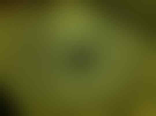 Deretan Foto Ini Bukti Bahwa Hotel Terkadang Tidak Sesuai Dengan Ekspektasi.