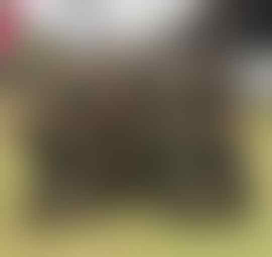 Cantiknya Hillary Brigitta Lasut, Anggota DPR Termuda yang Punya Kekayaan 9 M!