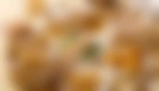 5 Jenis Makanan Ciri Khas Hong Kong yang Wajib Dicoba. Dijamin Akan Ketagihan!
