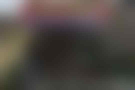 Viral Toko di Magelang Buka Tiap Hari Tidak Menjual Apapun, Kisah Haru Dibaliknya!