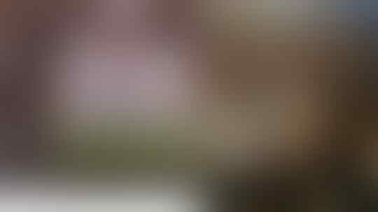 Surat cekal,bila Ternyata Palsu Ini Sanksi yang Akan Diterima Rizieq