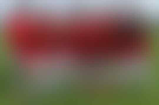 Timnas Indonesia U-16, dan U-19 Kok Lebih Jago dari Timnas Senior?